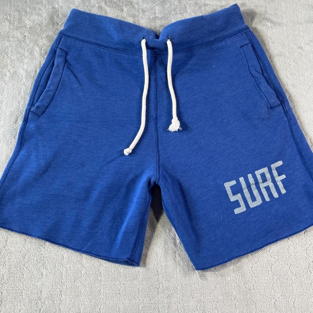 Hollister Sweat‎ Shorts Mens Small Blue Drawstring Surf Preppy Beach Resortwear